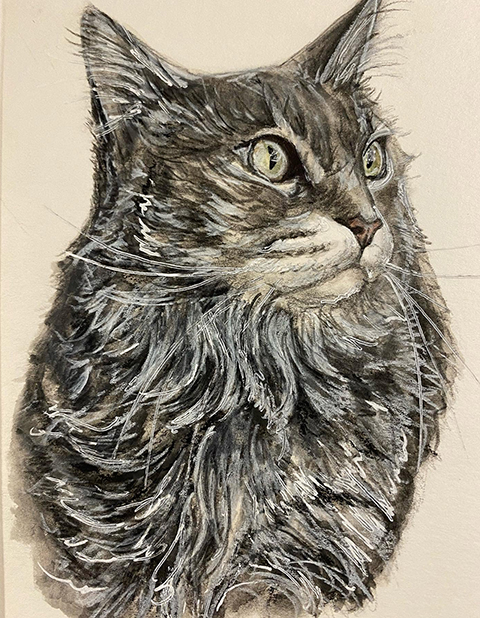 Cat Portrait