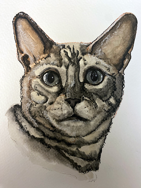 Cat Portrait