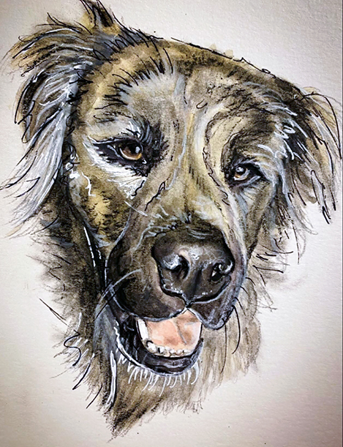 Dog Portrait
