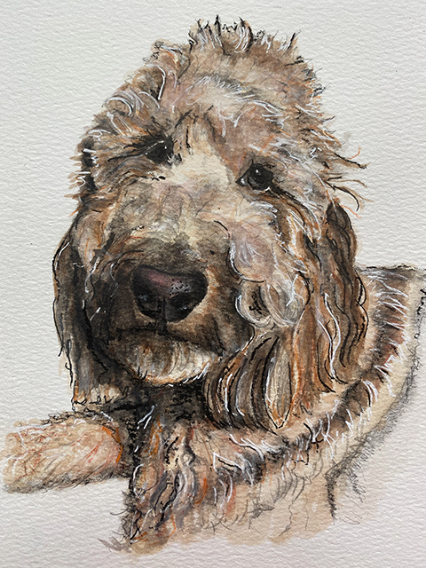 Dog Portrait