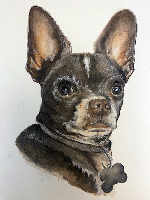 Dog Portrait