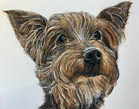 Dog Portrait