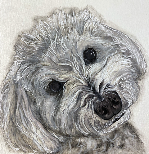 Dog Portrait