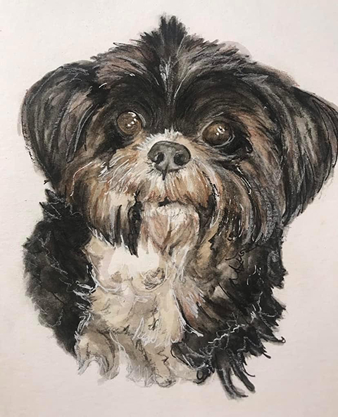 Dog Portrait