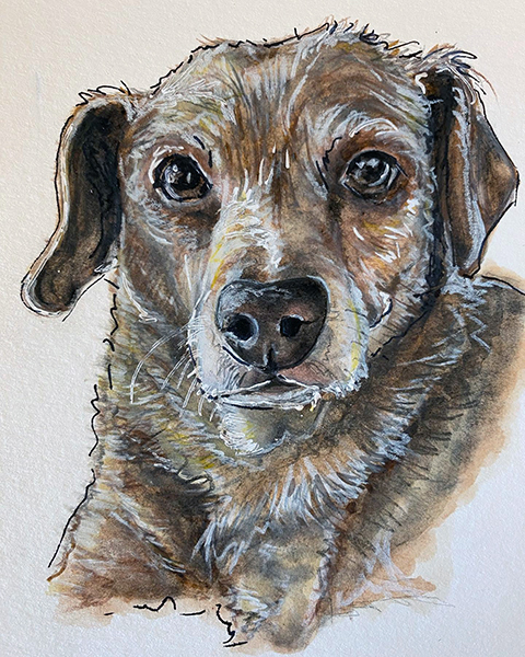 Dog Portrait