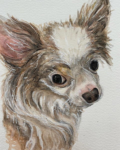 Dog Portrait