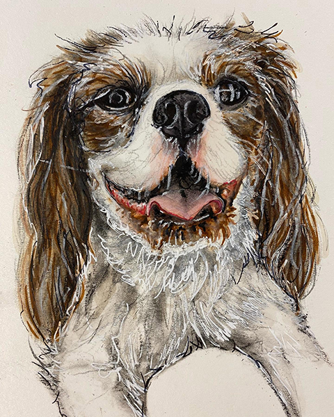 Dog Portrait
