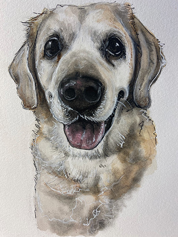 Dog Portrait