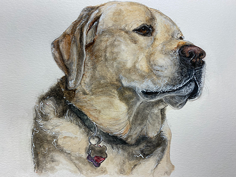 Dog Portrait
