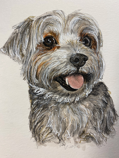 Dog Portrait