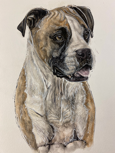 Dog Portrait
