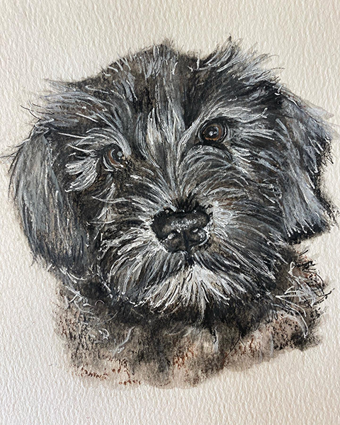 Dog Portrait